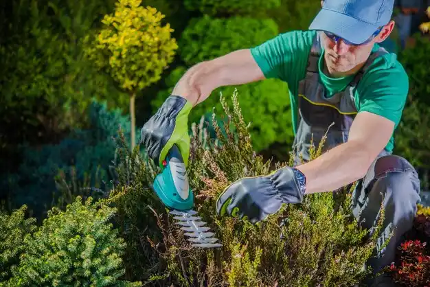 landscaping services Cohoes